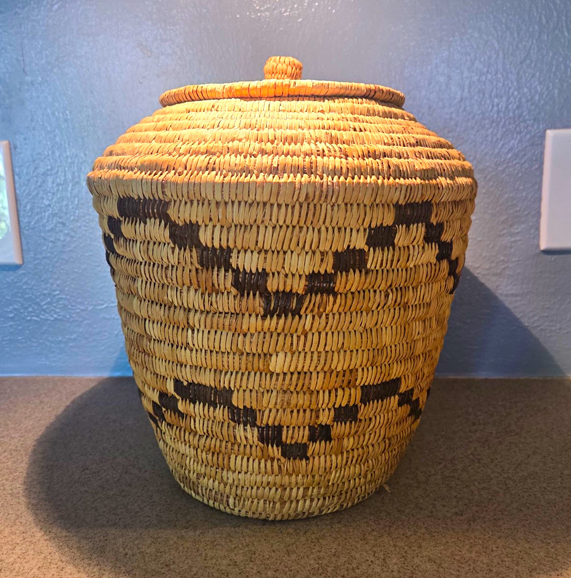 Vintage Tohono O'odham Papago Native American Coiled basket W/Lid - Olla Jar