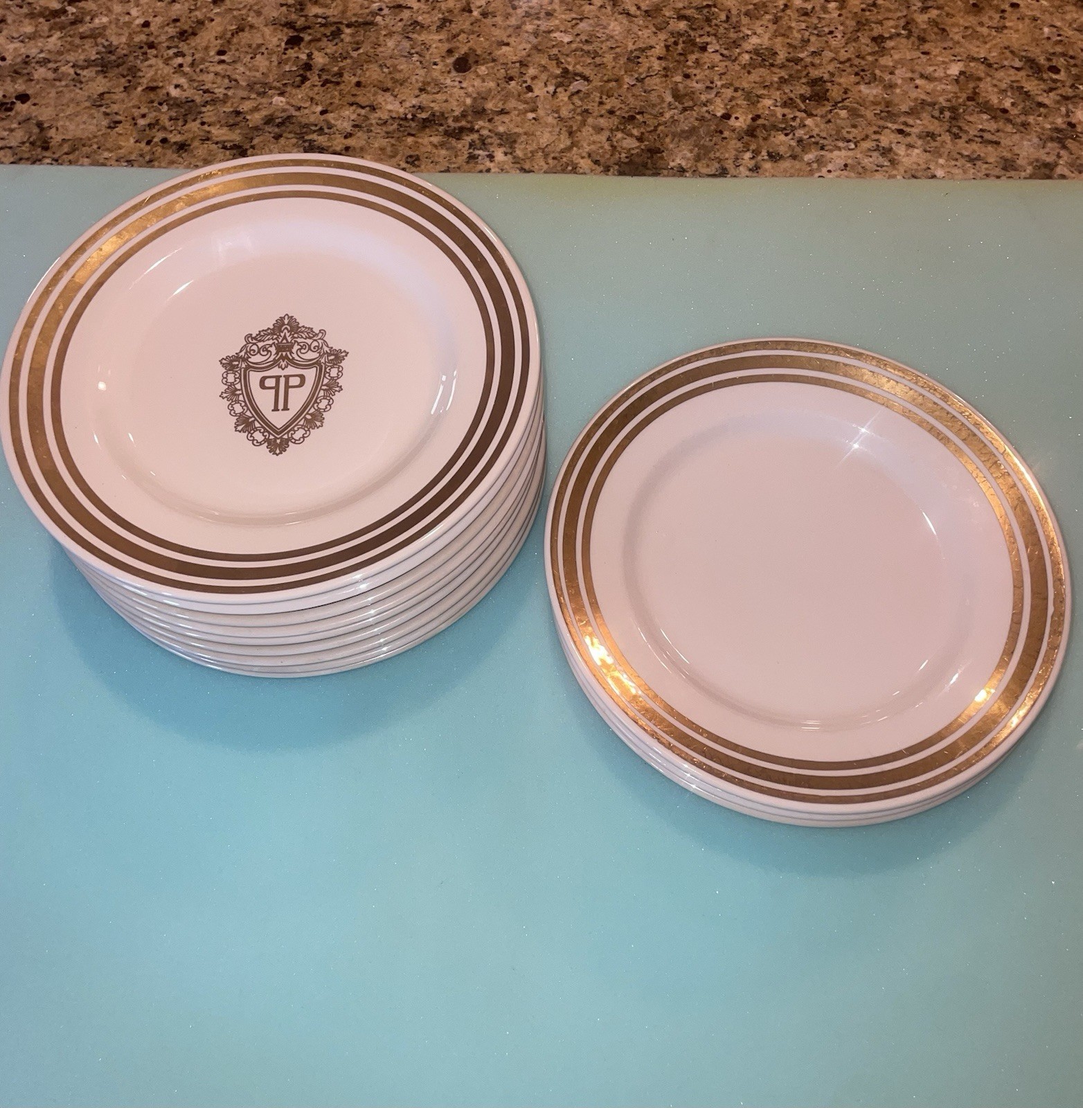 13 Vintage PLAZA HOTEL NY Dinner Plates 10.25\