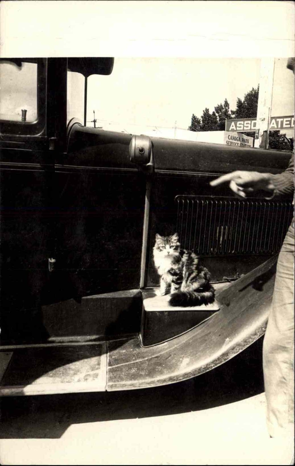 Los Angeles CA Kitty Cat Car Fender Canoga Park Service Station c1920s RPPC