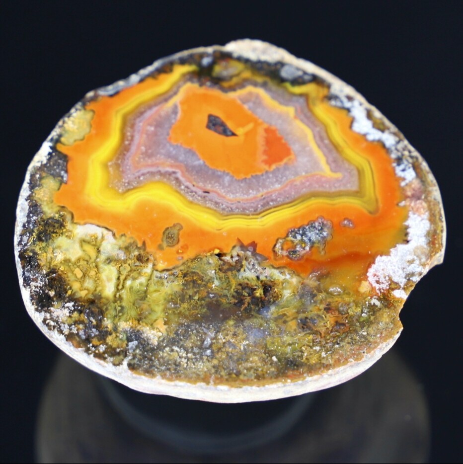 FIGHTING BLOOD Agate Museum Quality Specimen [FB032005]