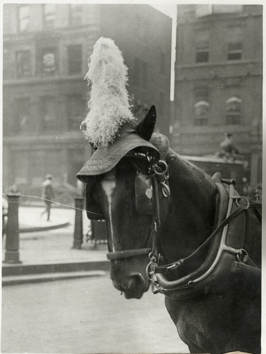 c.1920's PRESS PHOTO - HACKNEY CARRIAGE HORSE AND PLUME