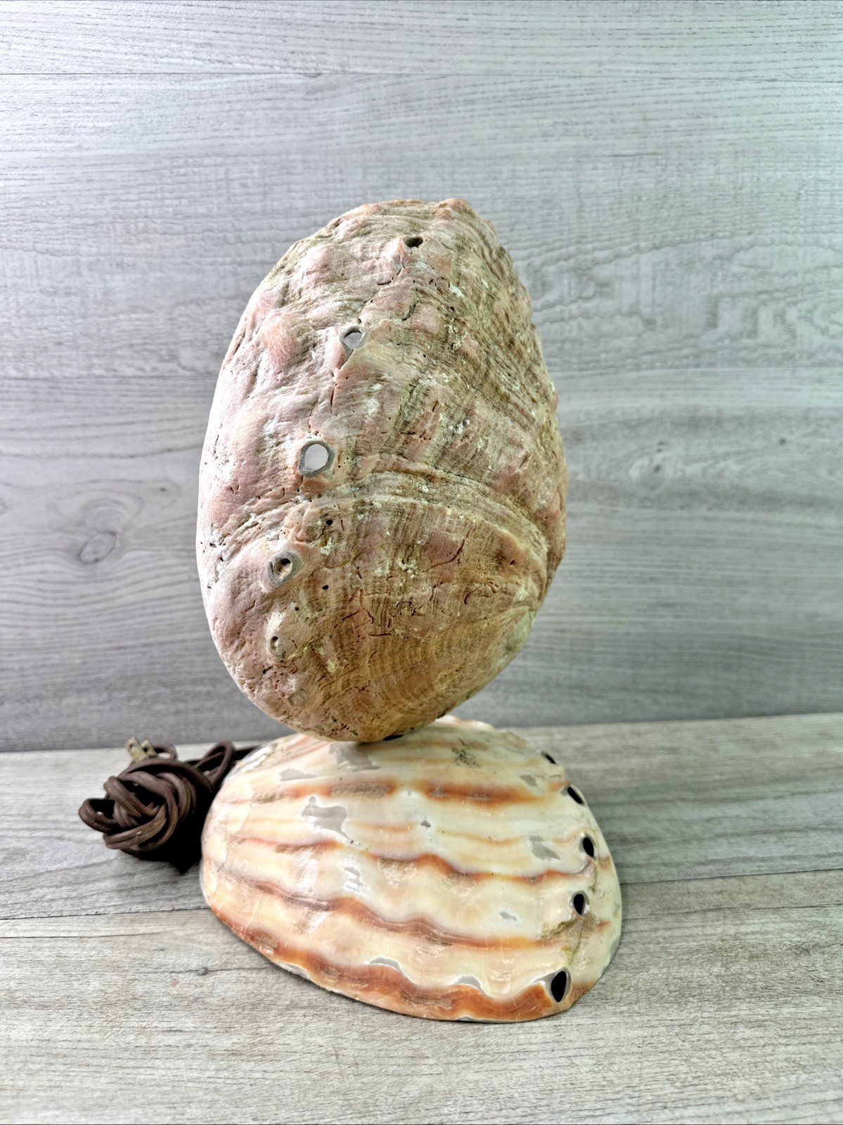 Beautiful 1930s-40s Vintage Abalone Shell Light Tested Works Beautiful 1930s-40s Vintage Abalone Shell Light Tested Works