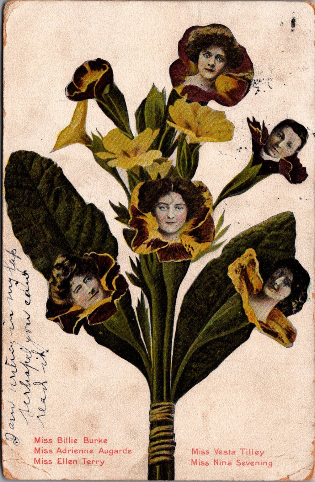 1907 Clarksville TN Flower Head Postcard Actresses Billie Burke Vesta Tilley