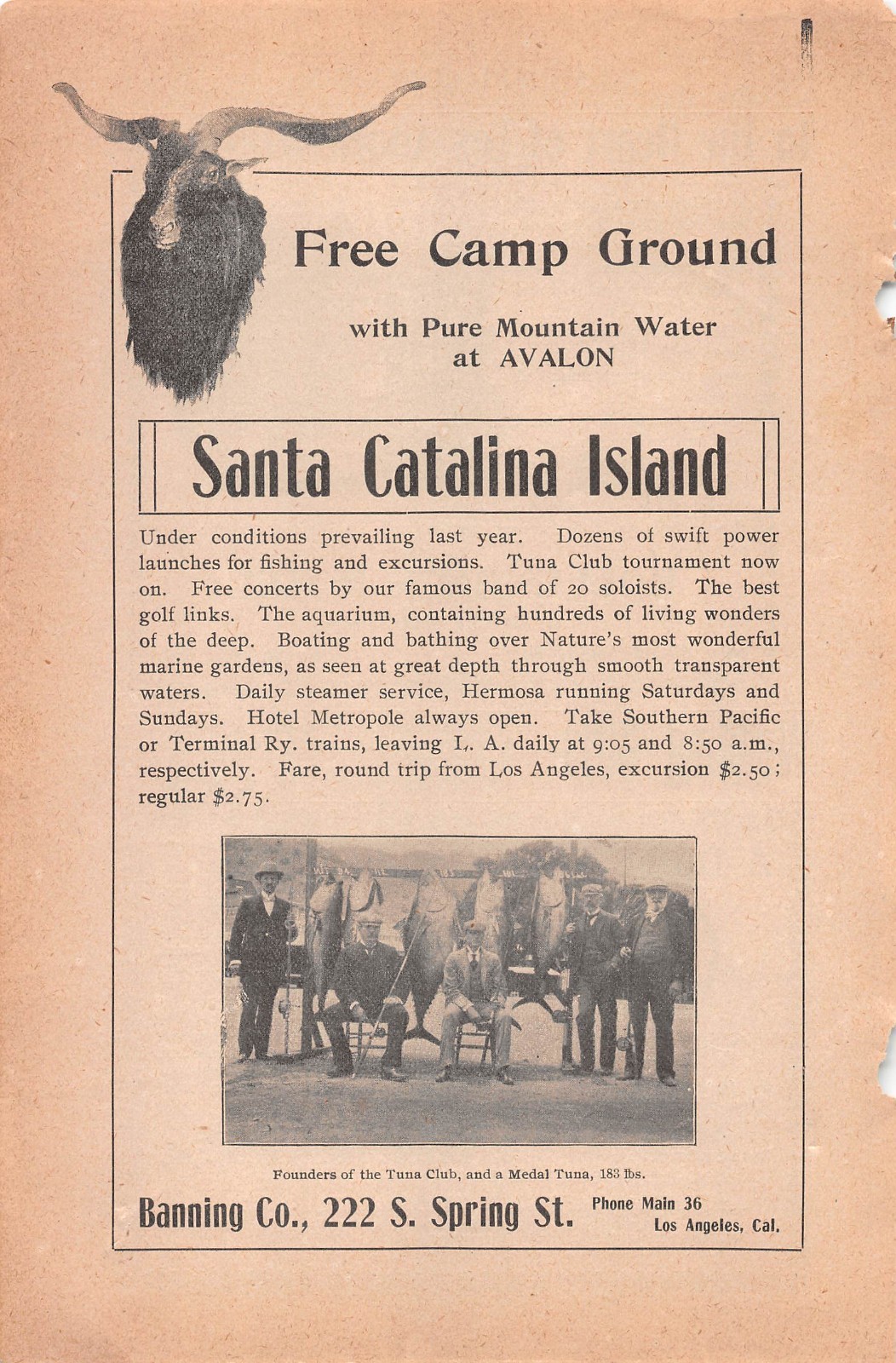 1900 SANTA CATALINA ISLAND CA Tuna Club Tournament Deep Sea Fishing ANTIQUE AD