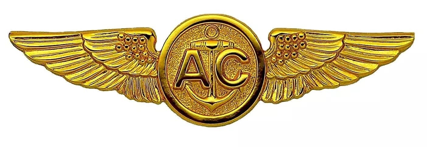 USN Aircrew Wings Badge Pin USMC Marine Coast Guard Gold Plated US Navy Air Crew USN Aircrew Wings Badge Pin USMC Marine Coast Guard Gold Plated US Navy Air Crew
