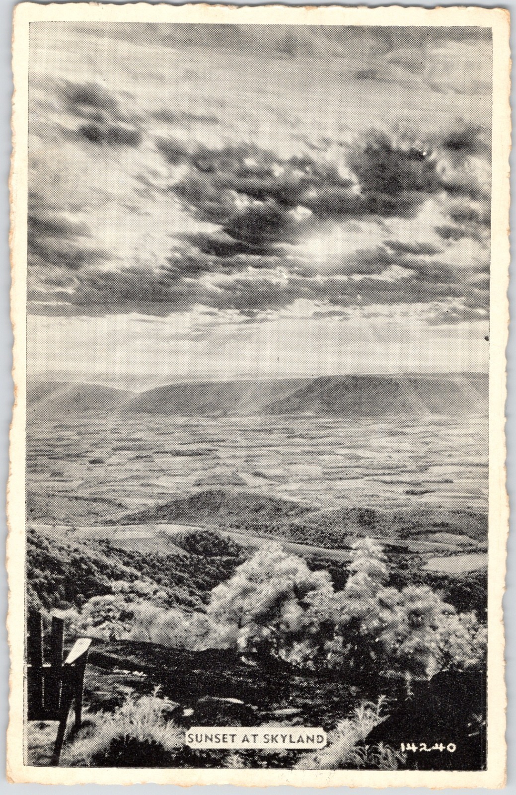 Skyland Shenandoah NP Skyline Drive Sunset Real Photo Postcard Virginia RPPC