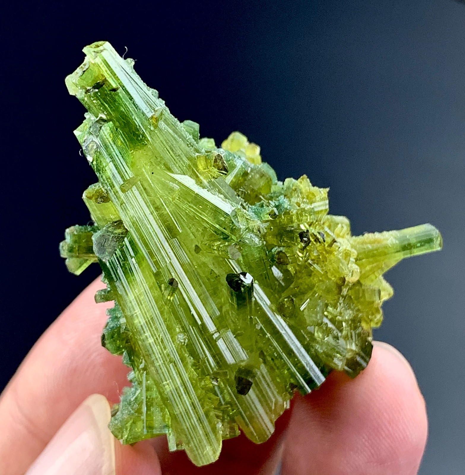 Chappu Mine Tourmaline Crystal From Pakistan 118 Carat