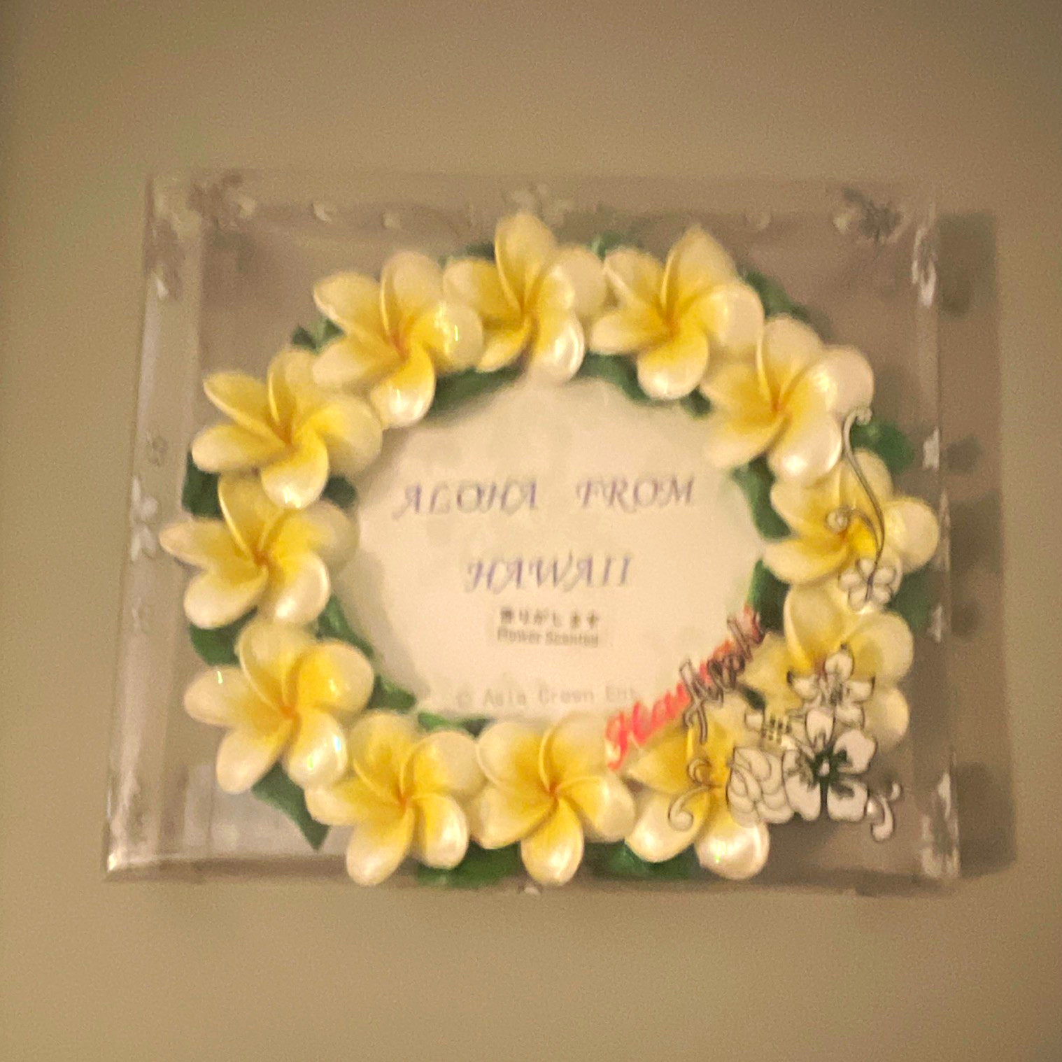 Aloha From Hawaii Plumeria Flower Lei Photo Frame Picture Frame With Stand