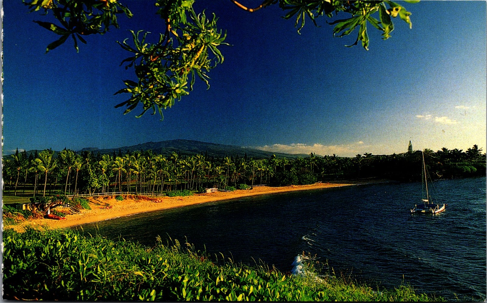 Kapalua Bay Maui Hawaii Beach Postcard Island Heritage P. French