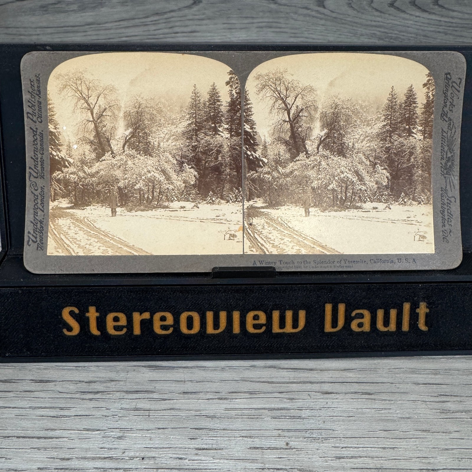 Underwood A Wintry Touch to the Splendor of Yosemite CA Stereoview c.1900s Snow