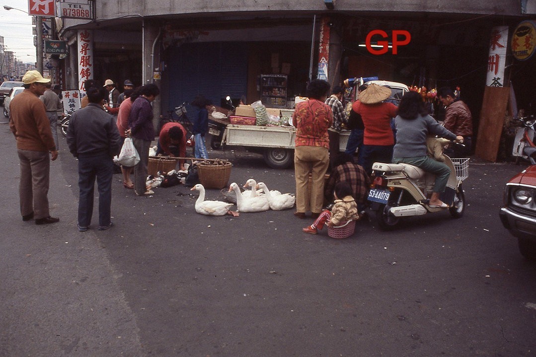 #XX139- ab Old 35mm Slide Photo- Taiwan Street Scene- Ducks - 1984