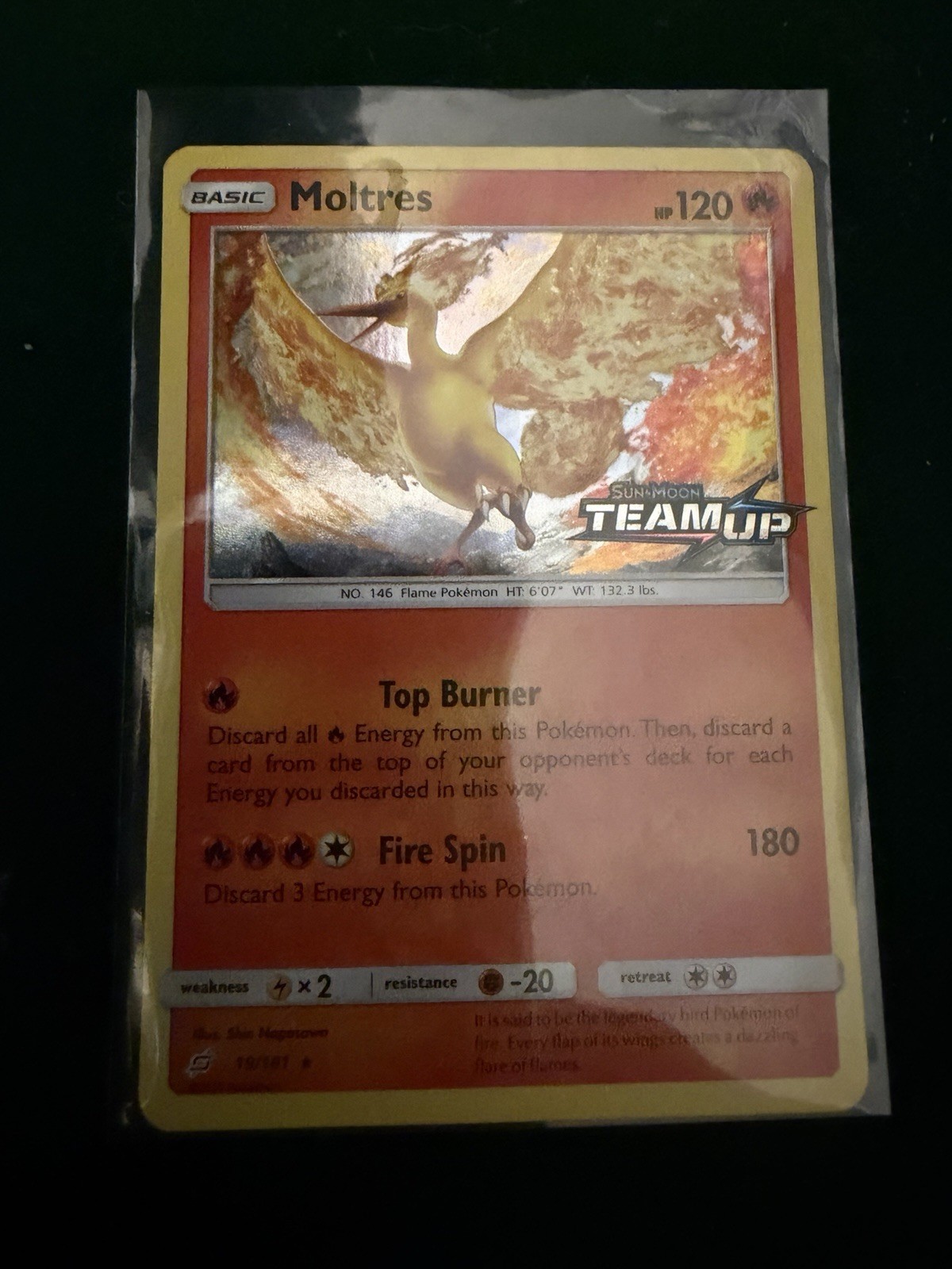 Pokemon Moltres Stamped Pre-Release Promo Team Up 19/181
