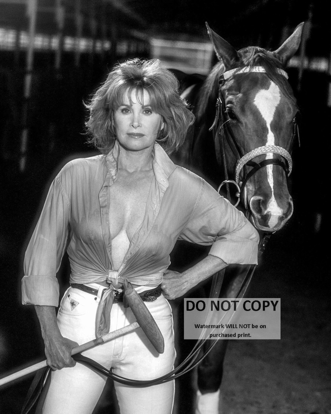 ACTRESS STEFANIE POWERS - 8X10 PUBLICITY PHOTO (BB-402)