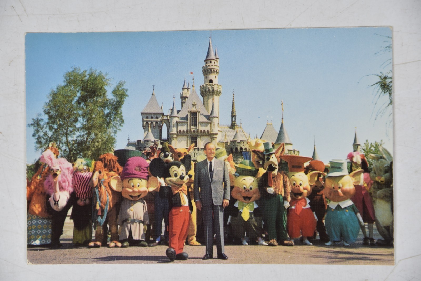 Vintage Disneyland Postcard \