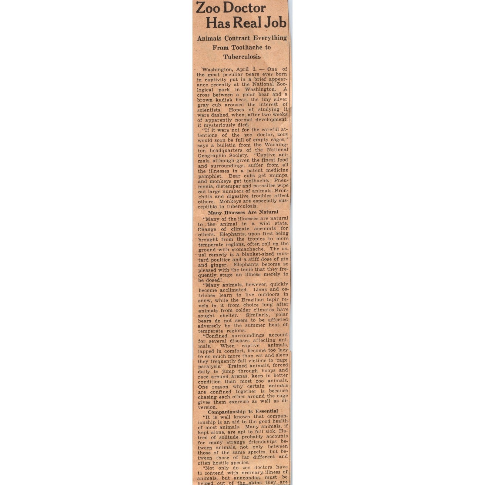 Zoo Doctors Face Challenges 1935 Minneapolis Journal Article AE7-N4