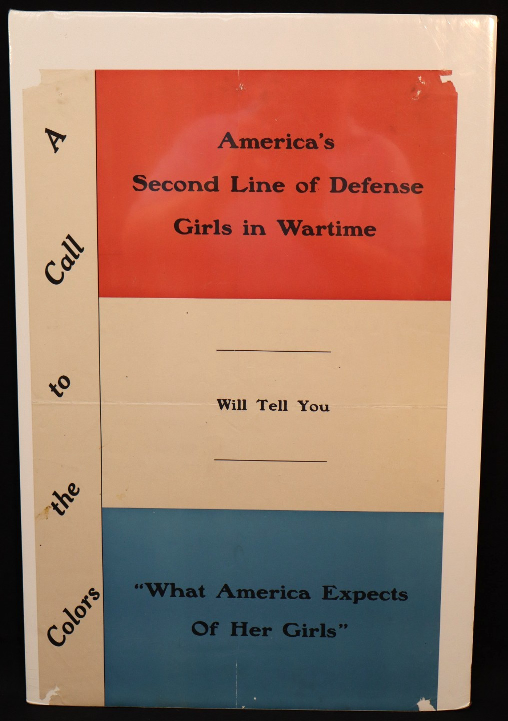 WWI US Home Front America\'s 2nd Line of Defense Girls in Wartime Poster 22 x 14