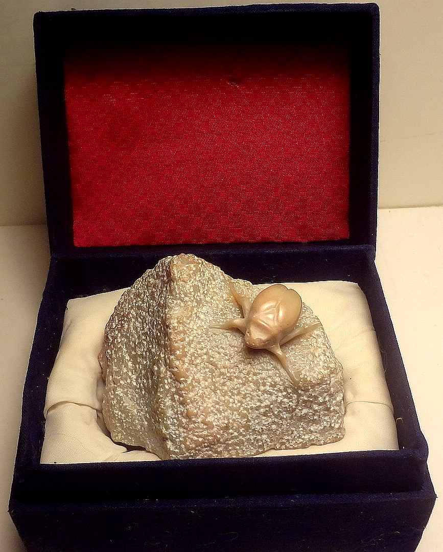📌Unique c1950\'s CARVED soapstone SCARAB BEETLE in orig. CUSTOM BOX -PAPERWEIGHT 📌Unique c1950\'s CARVED soapstone SCARAB BEETLE in orig. CUSTOM BOX -PAPERWEIGHT