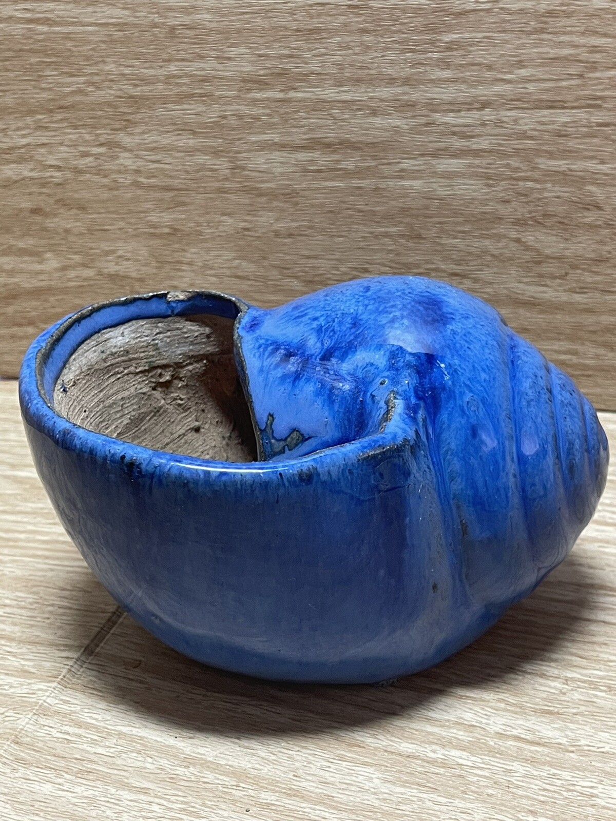 Conch shell planter cobalt blue crystal glaze 6\