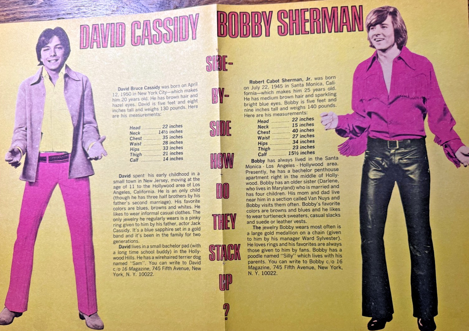 1971 Vintage Poster David Cassidy & Bobby Sherman ** Wall Art ** 1971 Vintage Poster David Cassidy & Bobby Sherman ** Wall Art **