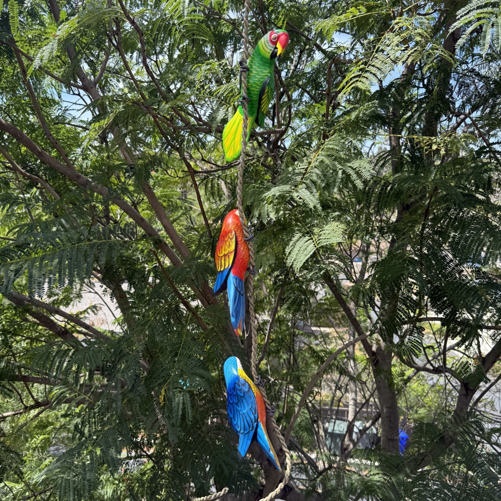 Parrots On a Rope Hanging Bird Statues Hand Crafted 3 birds 8 1/2 x 3 inch