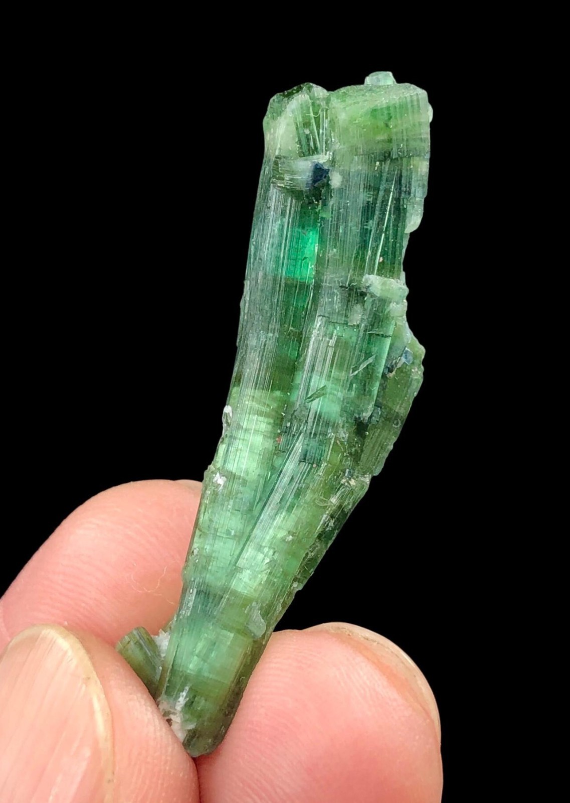 15 Cts Natural Cat’s Eye Tourmaline Crystal Bunch – Beautiful Afghan Specimen