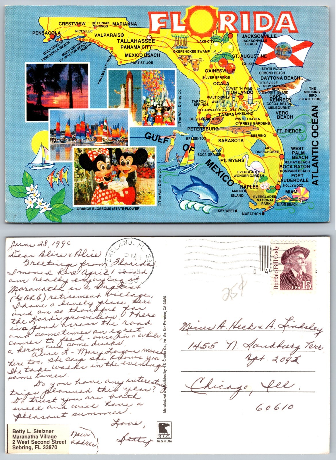 Continental Florida Map Illustration Postcard