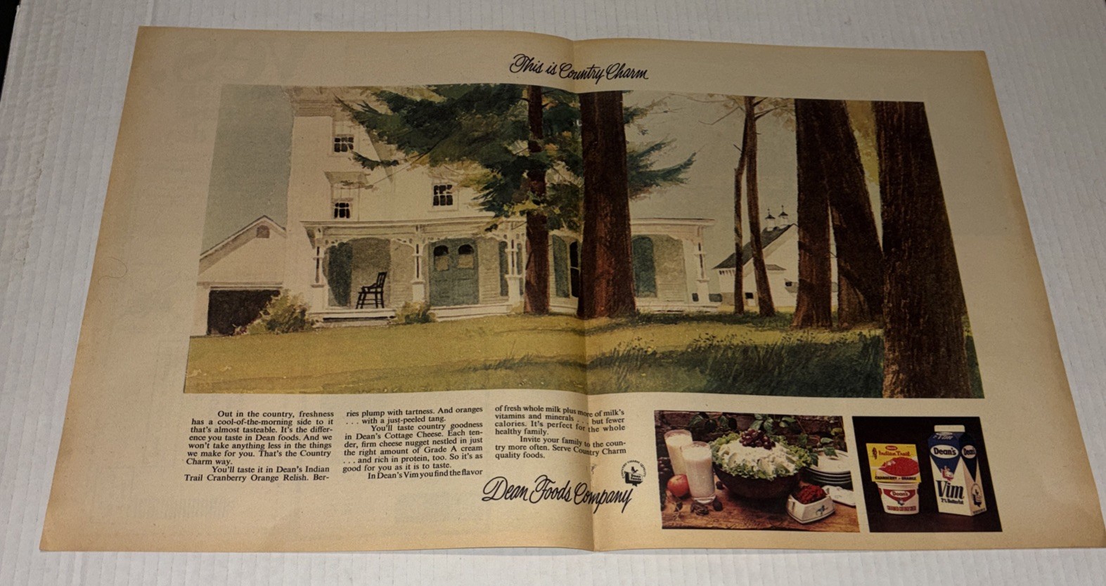 Vintage 1969 Deans Foods Vim Milk Country Charm Art Glass Dairy Print Ad Lark