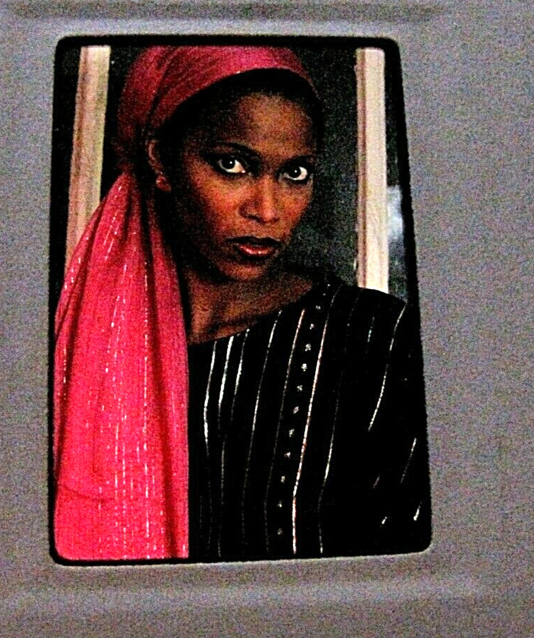 1979 Pretty Woman Model Portrait Vintage 35mm Kodachrome Film Slide Photograph 1979 Pretty Woman Model Portrait Vintage 35mm Kodachrome Film Slide Photograph