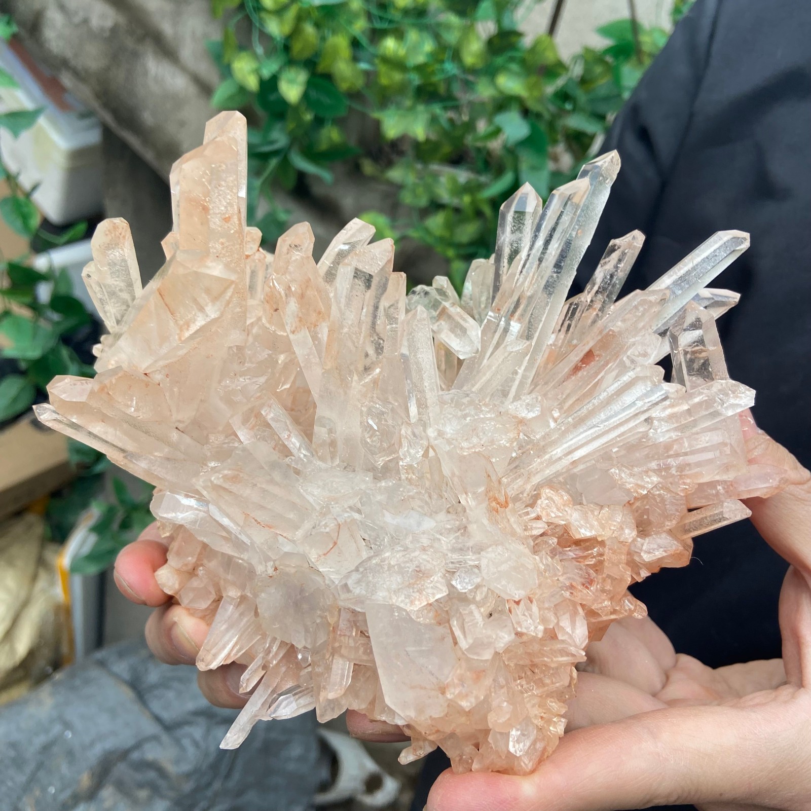 3lb Natural Clear PINK White Quartz Crystal Cluster Rough Healing Specimen