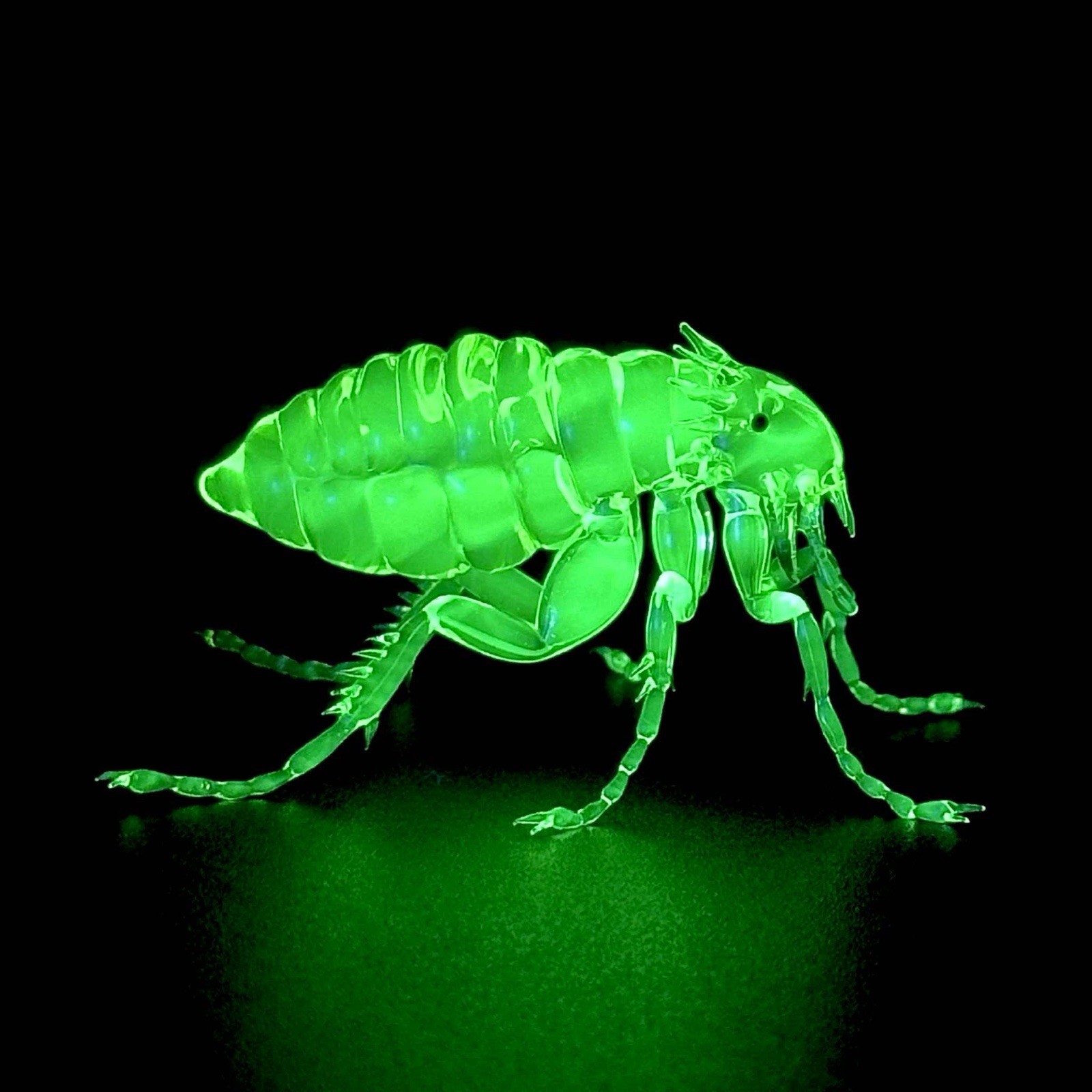 Uranium Vaseline flea  hand Made In The USA 🇺🇸