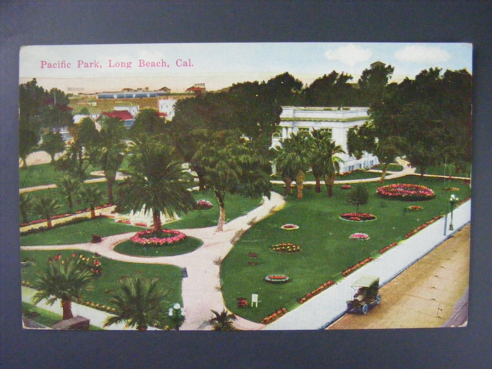 Long Beach California Pacific Park 1005 Locust Ave Antique Postcard 1921