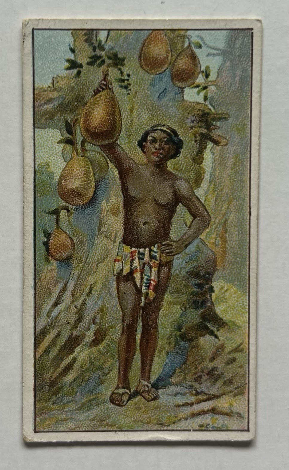 Morris Marvels Universe Vegetable Bread Jackfruit Tobacco Card CC7 Morris Marvels Universe Vegetable Bread Jackfruit Tobacco Card CC7