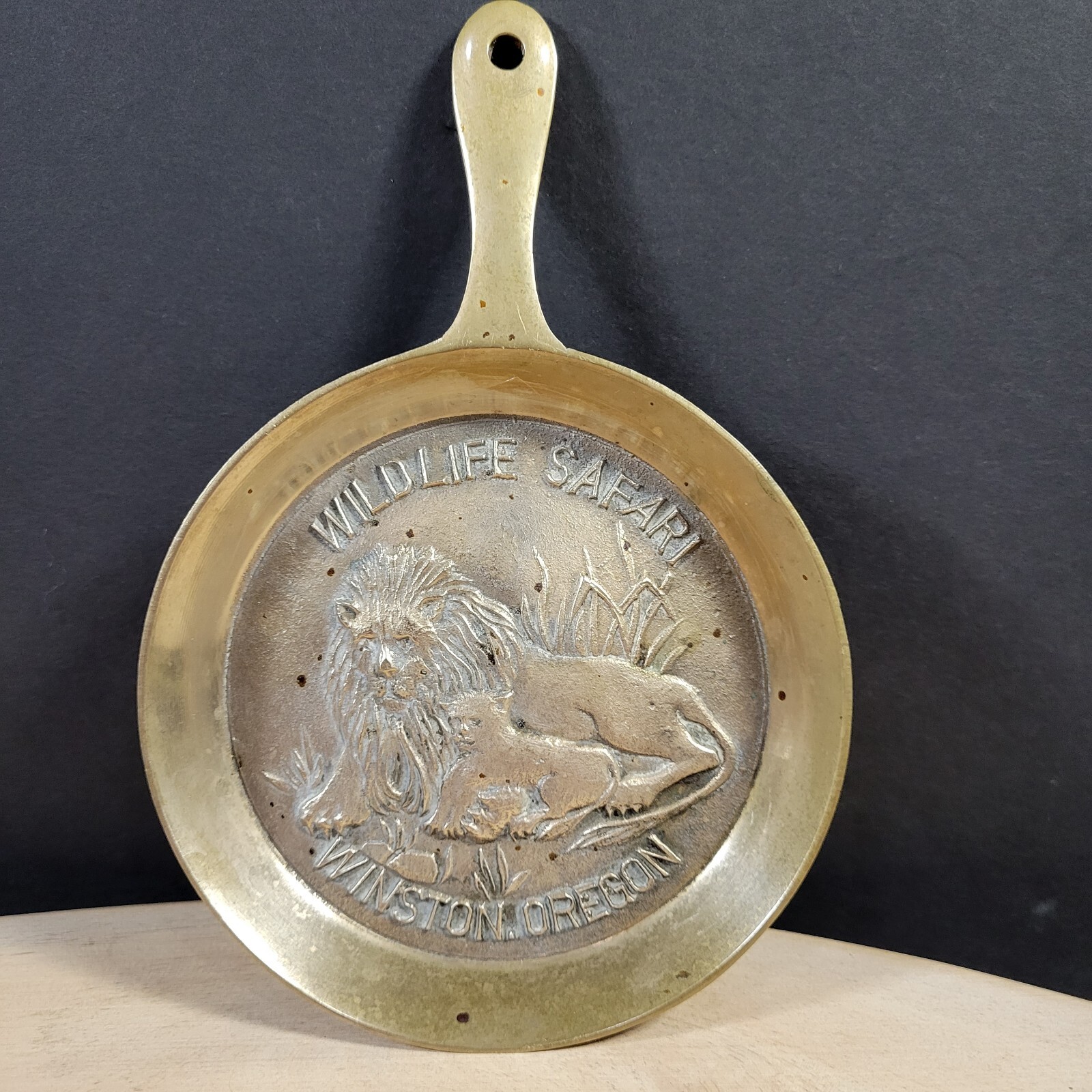 Wildlife Safari Vintage Souvenir Metal Pan Wall Hanging Lion 7\