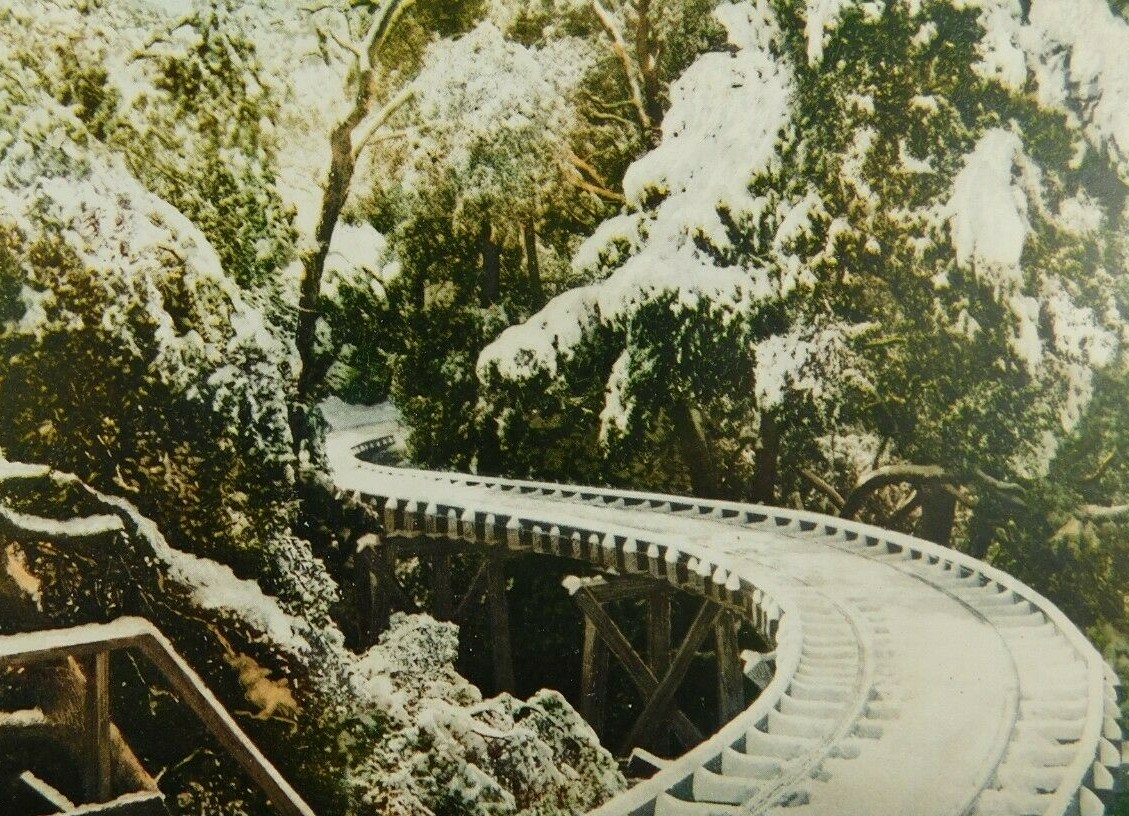 Scene Along Pacific Electric Hallway Mt Lowe CA Posted Divided Back Postcard Scene Along Pacific Electric Hallway Mt Lowe CA Posted Divided Back Postcard