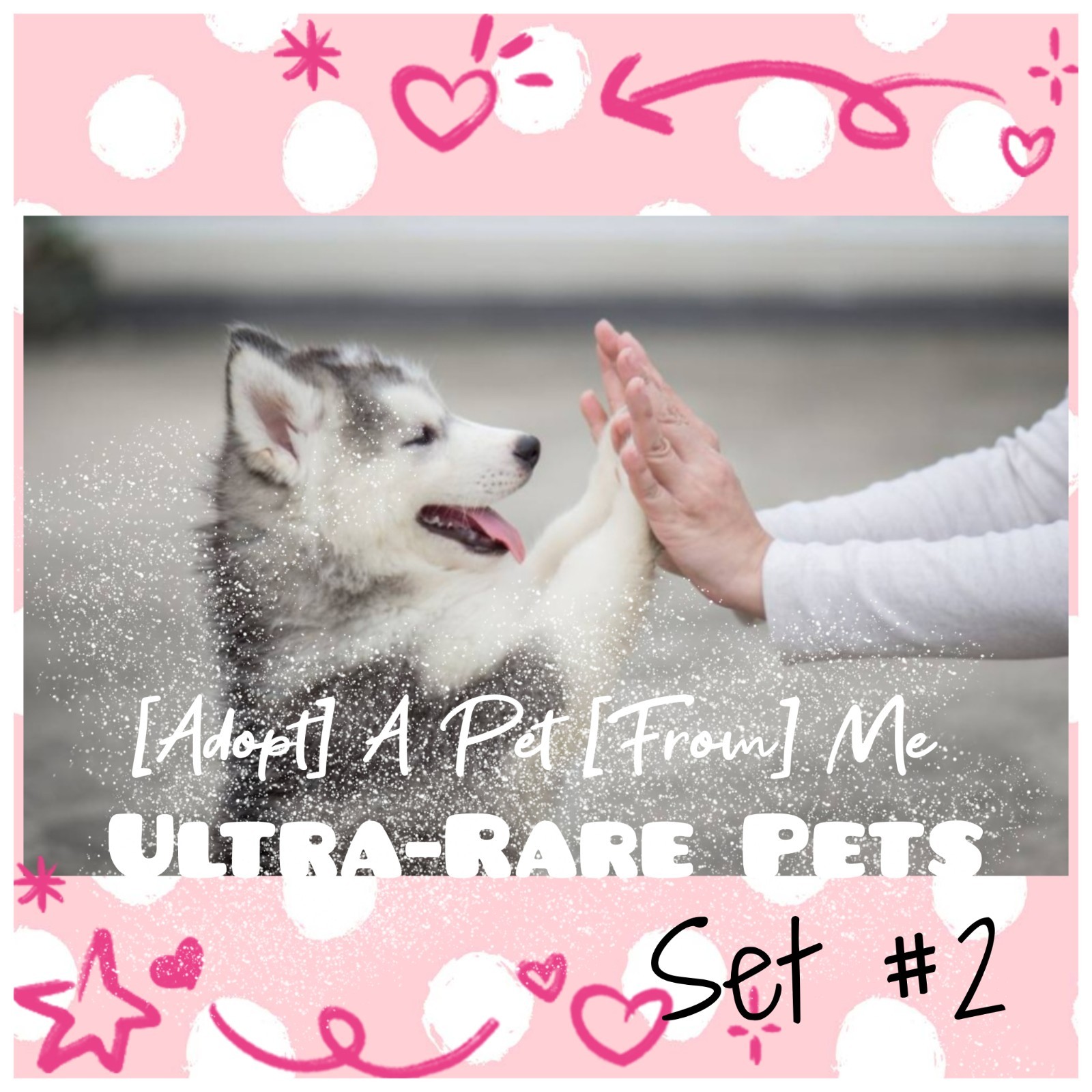 🌸 AĐ0PT (All Stuff FRM M3) Today 🌸 🌟Ultra-Rare🌟 S2 🖤 FR 💜 F 💚 R 🩵 NP 💖