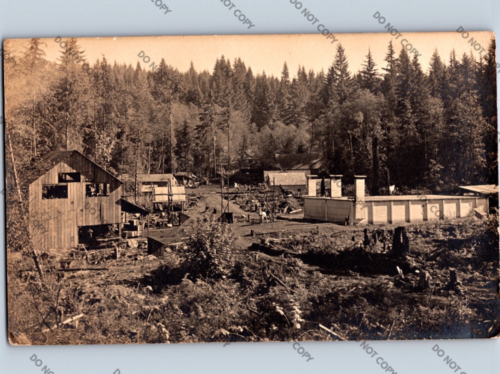 c1910 Splithill Shingle Mill GRANITE FALLS Washington WA Snohomish County RPPC