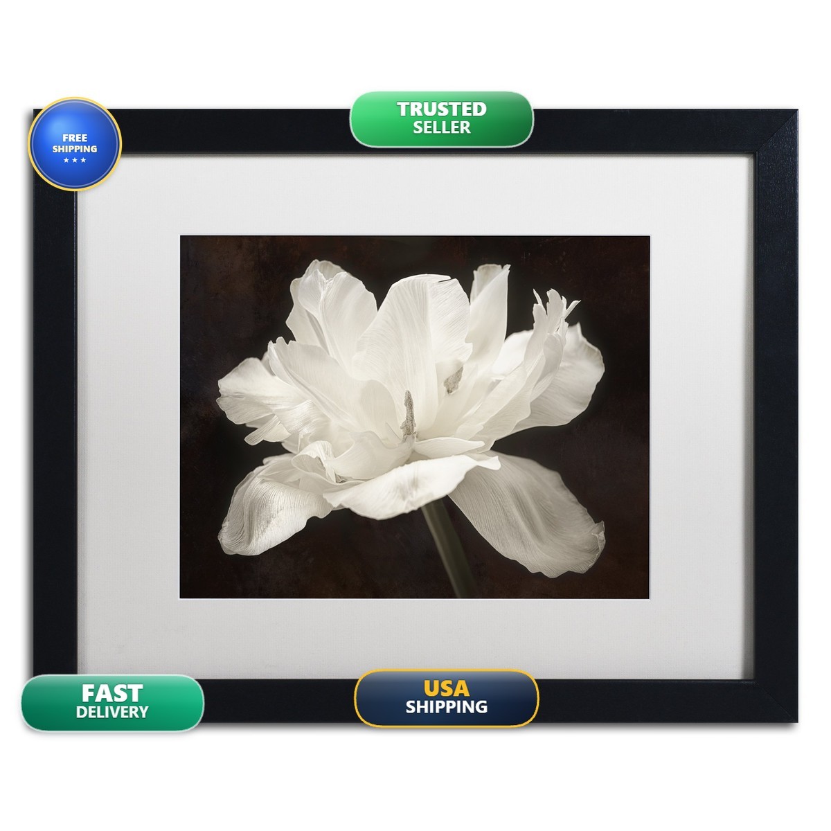 Trademark Fine Art White Tulip I White Matted Black Frame 16x20