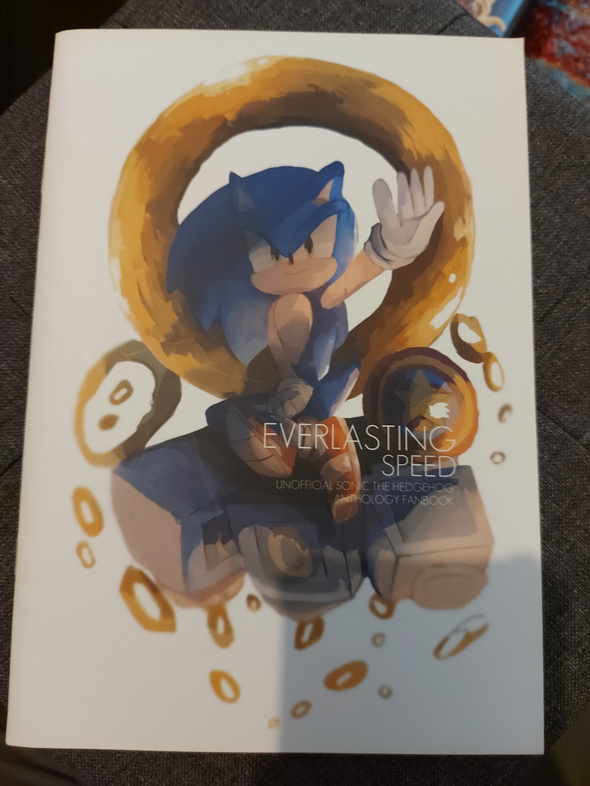 Sonic the Hedgehog Doujinshi EVERLASTING SPEED 2015 Artbook Fan Art **NEW** SEGA