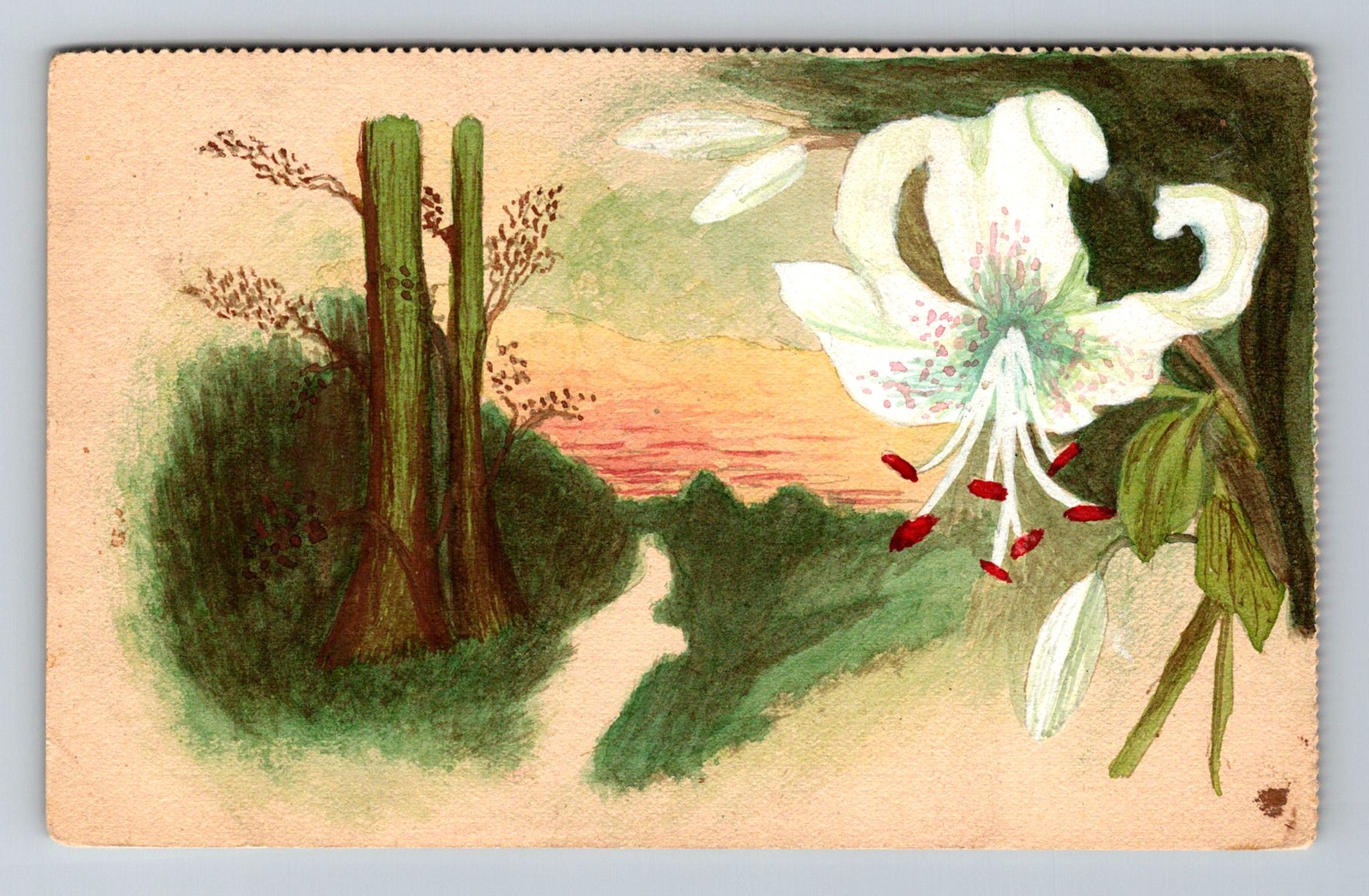 Italy- TUCK\'s Natural Garden Series Souvenir Old Postal Vintage c1915 Postcard