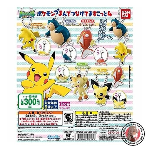NEW Pokémon Pinch and Connect Mascot 4 [Complete Set of 10]