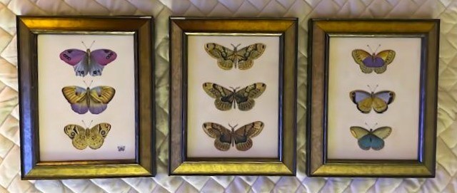 SET OF 3 Anna Weatherley Hand Painted Porcelain Butterfly Plaques Framed Ltd Ed