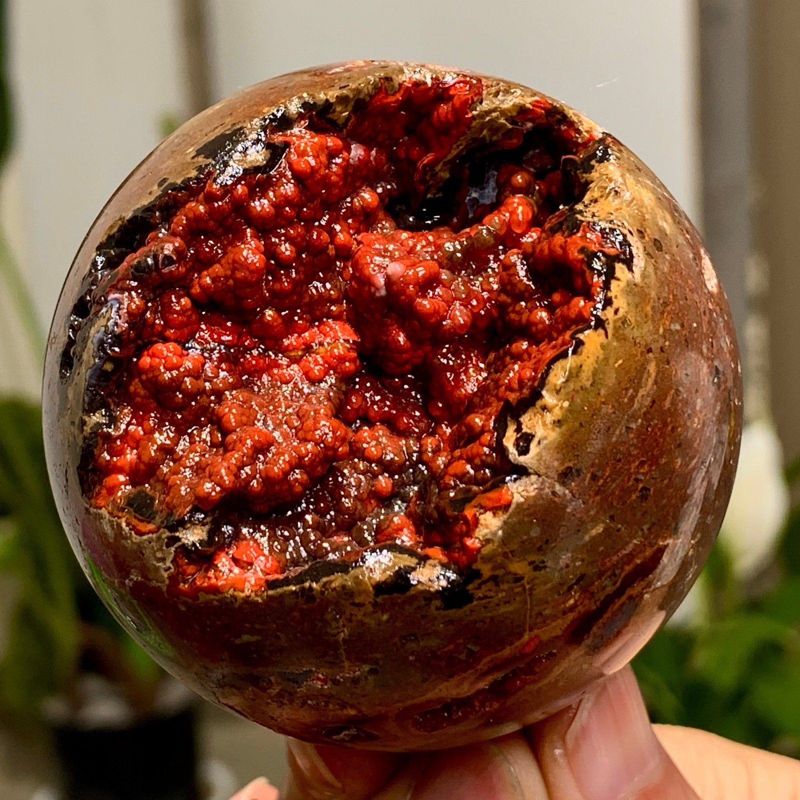 310G Natural Volcanic Red Agate QUARTZ Sphere Crystal Ball Healing