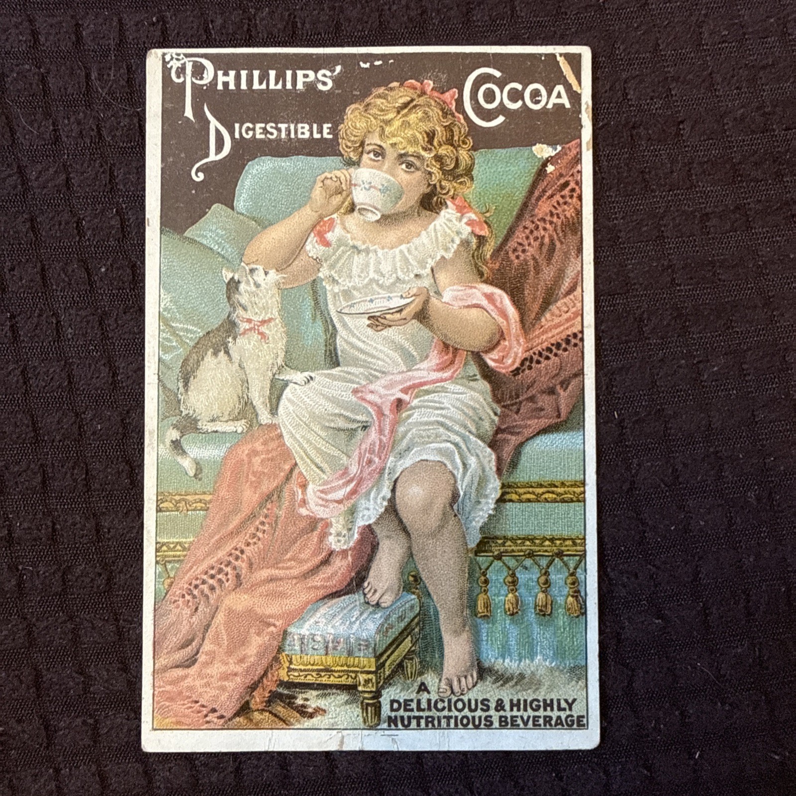Antique 1891 Phillips’ Digestible Cocoa Trade Card Girl Cat J.H. Cool 