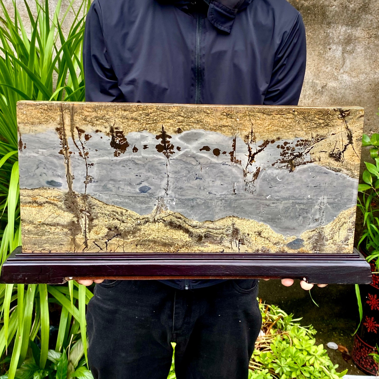 16.2LB Beautiful Natural Chinese Dendritic Limestone Picture Stone Guohua-Rare