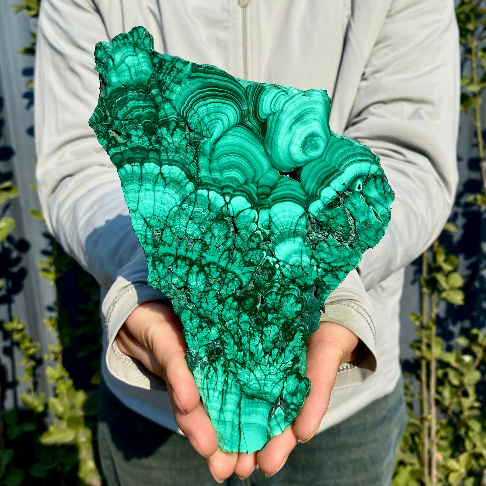 1.2LB Natural Green Malachite Slab Quartz Crystal Slice Ore Specimen Healing