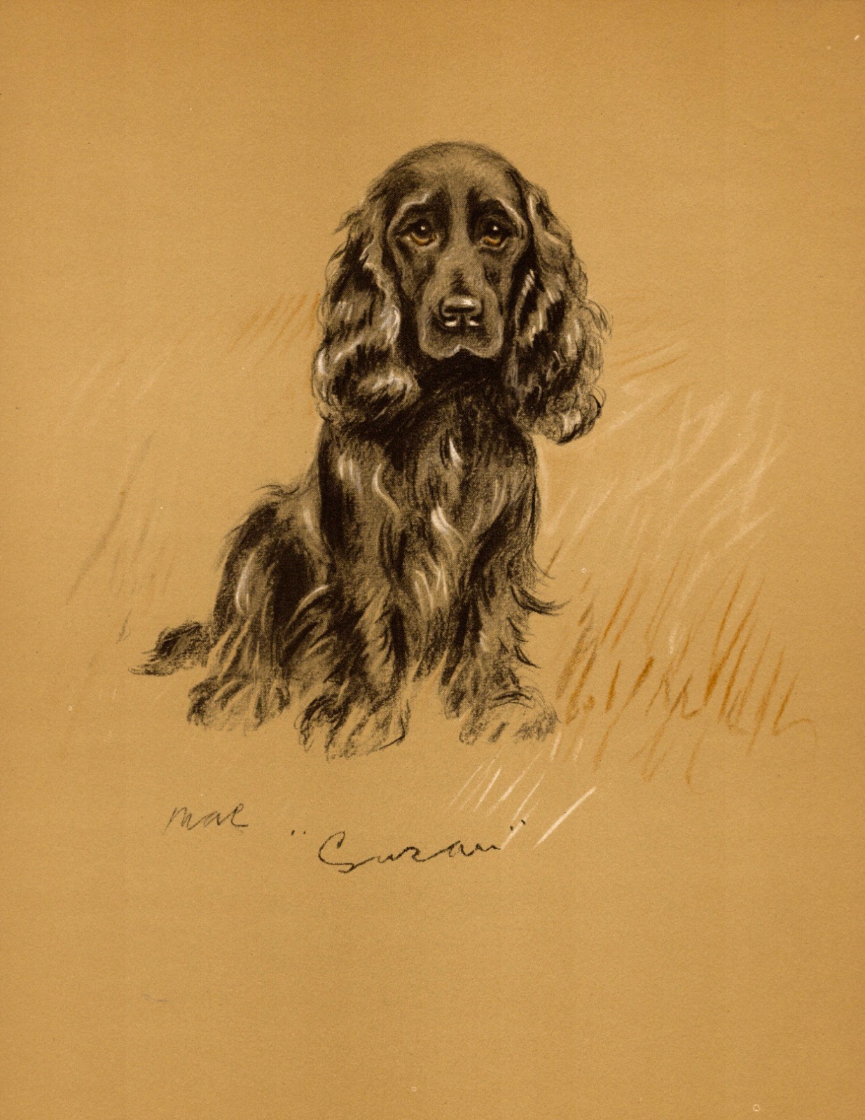 1940 Antique Cocker Spaniel Print Lucy Dawson Cocker Spaniel Illustration  7050j