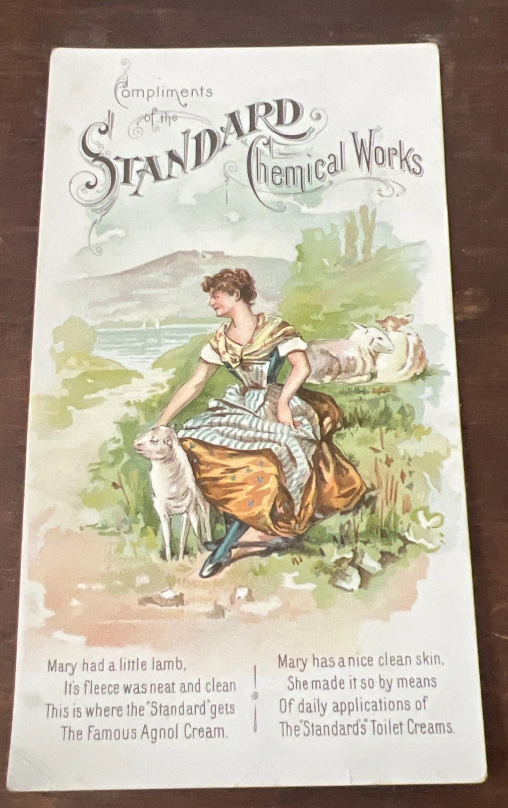 Antique 1880s Trade Card Standard Sewing Machine Co Woman Lamb Lake