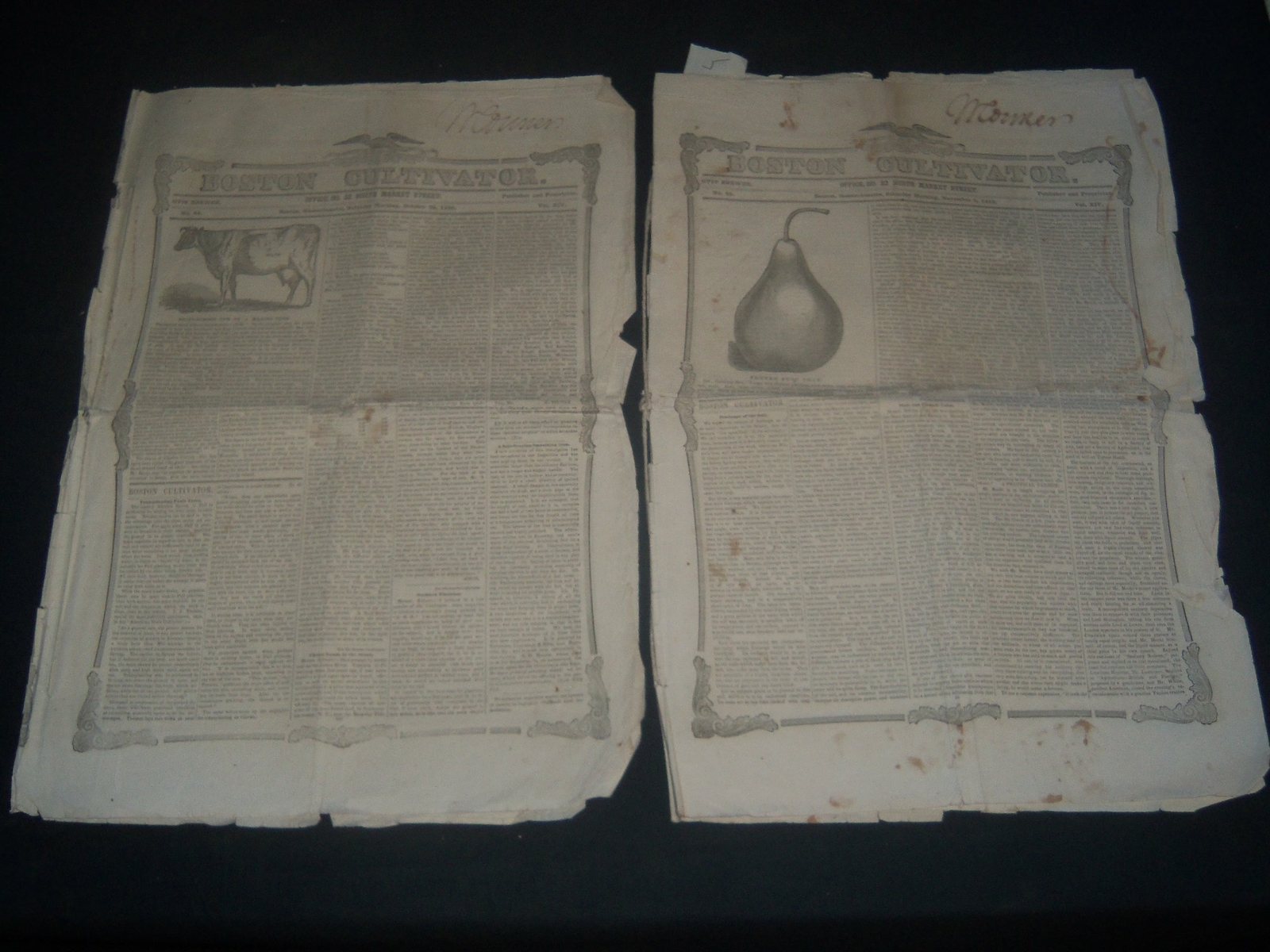 1852 BOSTON CULTIVATOR LOT OF 2 - DANIEL WEBSTER DEATH & FUNERAL - NP 3969