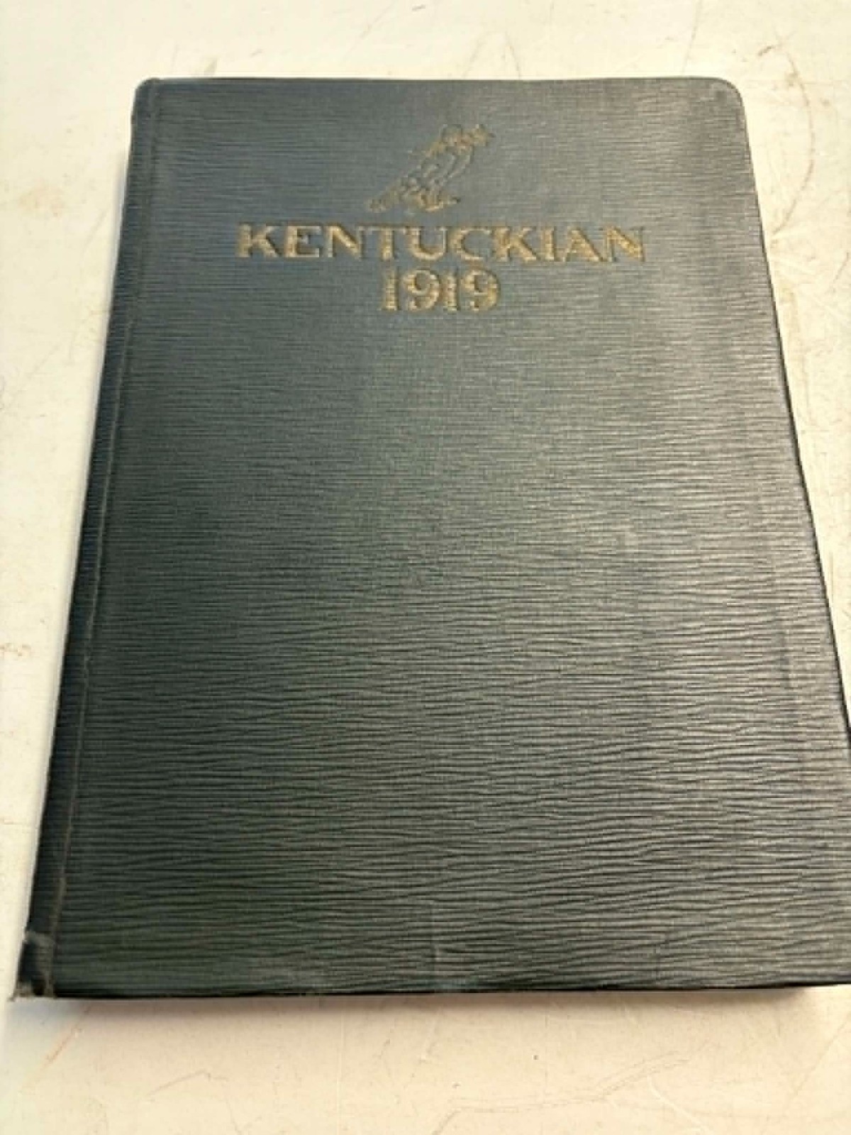 1919 University Of Kentucky Yearbook The Kentuckian Vintage College