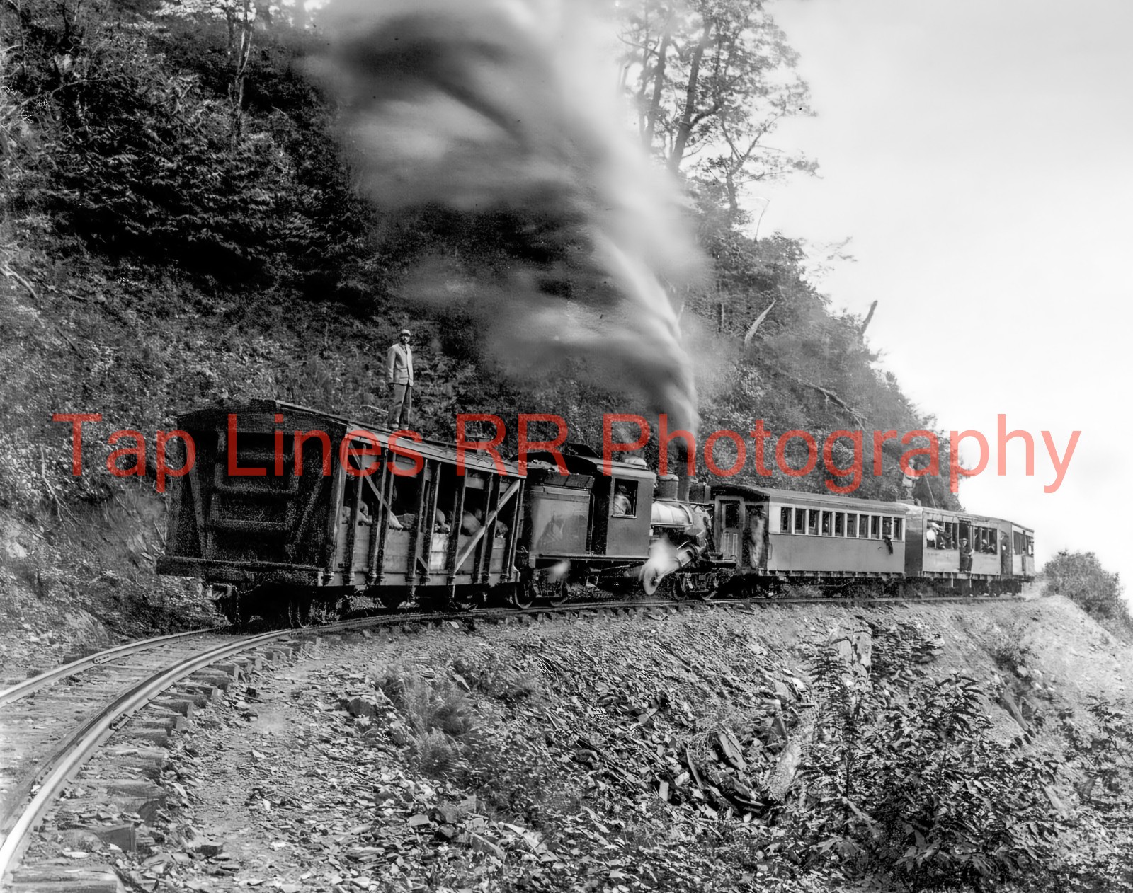 Mount Mitchell RR Narrow Gauge Excursion 3\' Gauge NC NEW 8x10 PHOTO